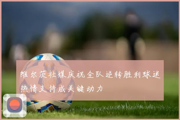 维尔茨社媒庆祝全队逆转胜利球迷热情支持成关键动力