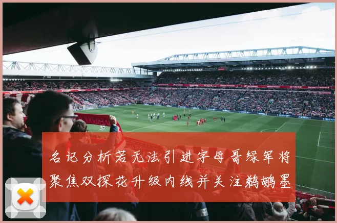 名记分析若无法引进字母哥绿军将聚焦双探花升级内线并关注鹈鹕墨菲