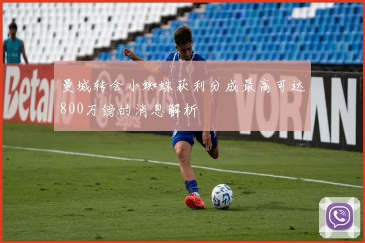 曼城转会小蜘蛛获利分成最高可达800万镑的消息解析